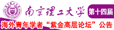 我要看欧美小逼南京理工大学第十四届海外青年学者紫金论坛诚邀海内外英才！